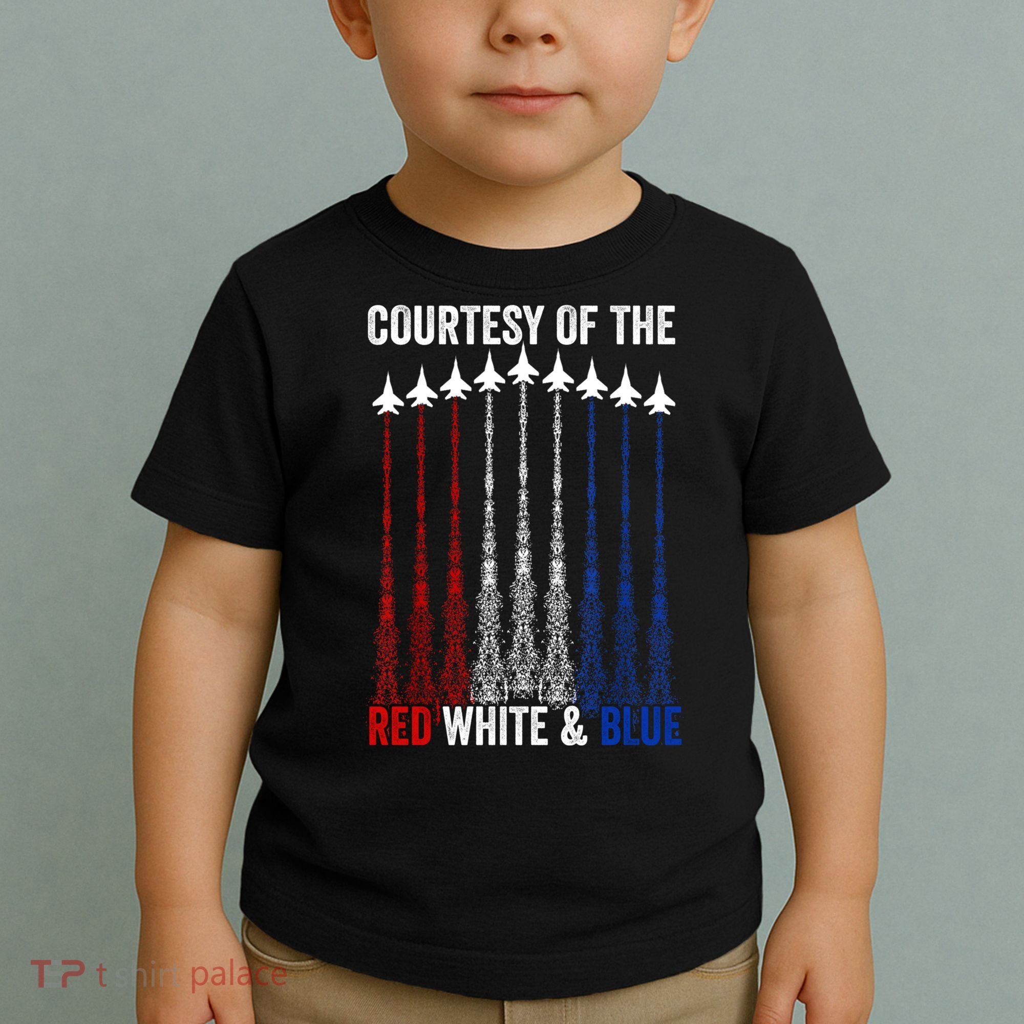 Courtesy Of The Red White And Blue 4th Of July Toddler T-Shirt