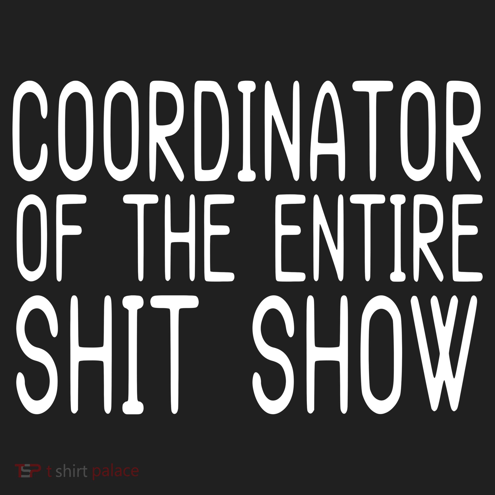 Coordinator Of The Entire Shit Show Beanie