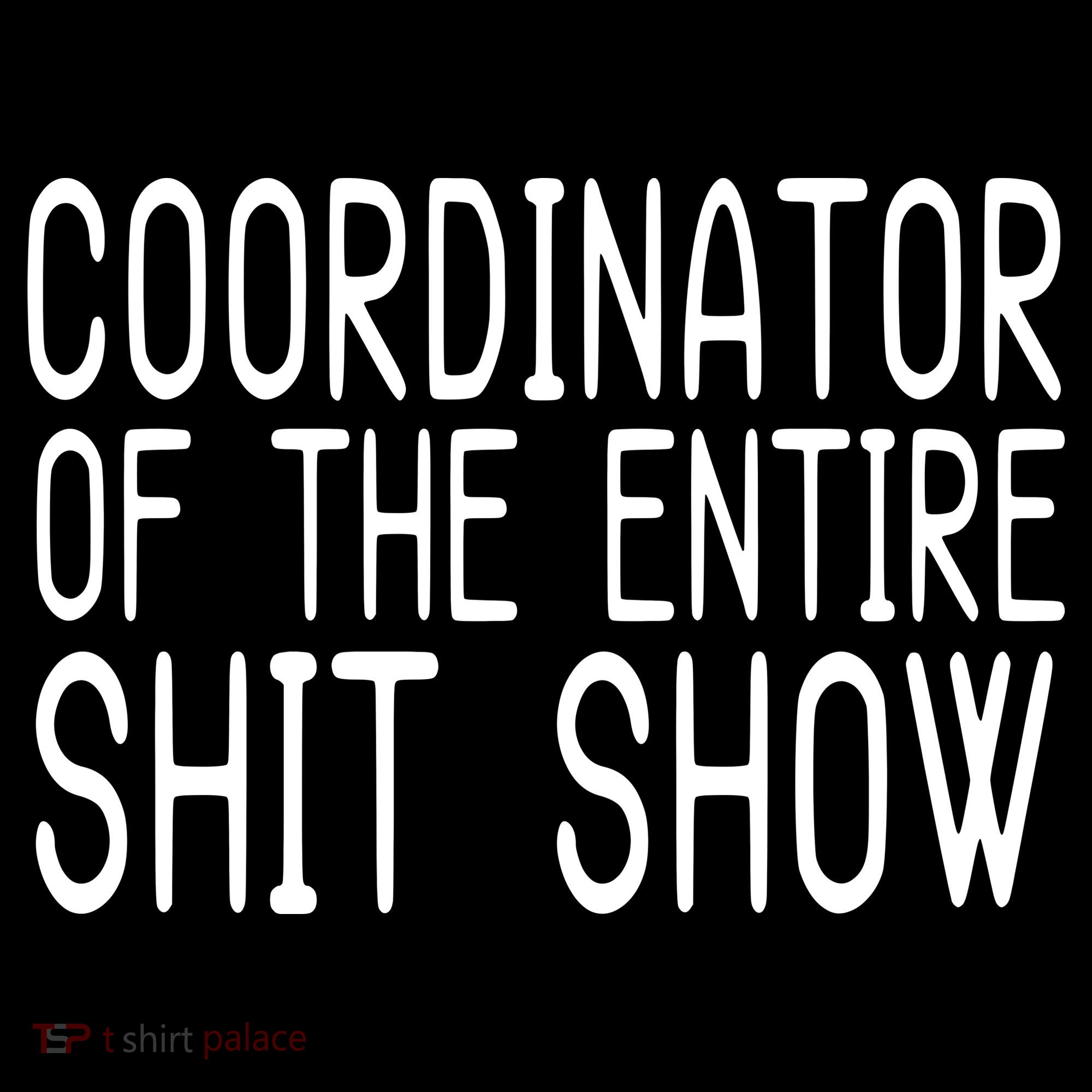 Coordinator Of The Entire Shit Show Women's Hoodie