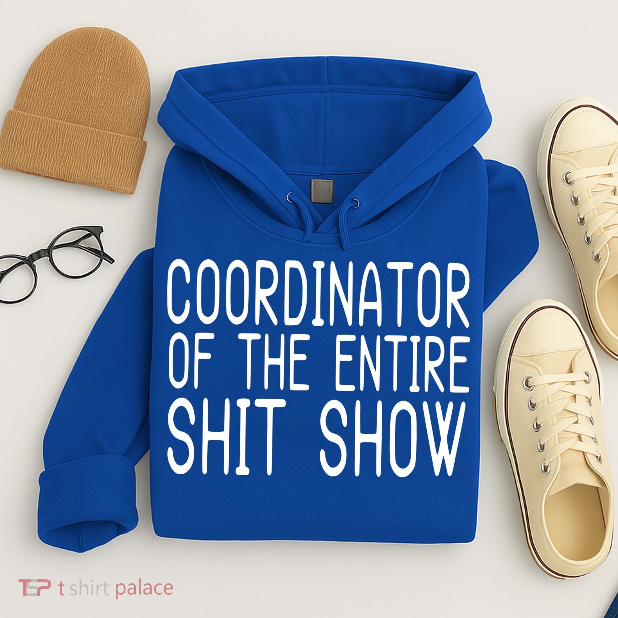 Coordinator Of The Entire Shit Show Hoodie