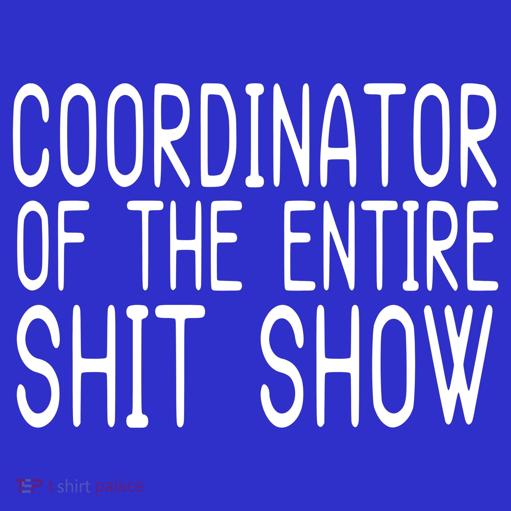 Coordinator Of The Entire Shit Show Hoodie