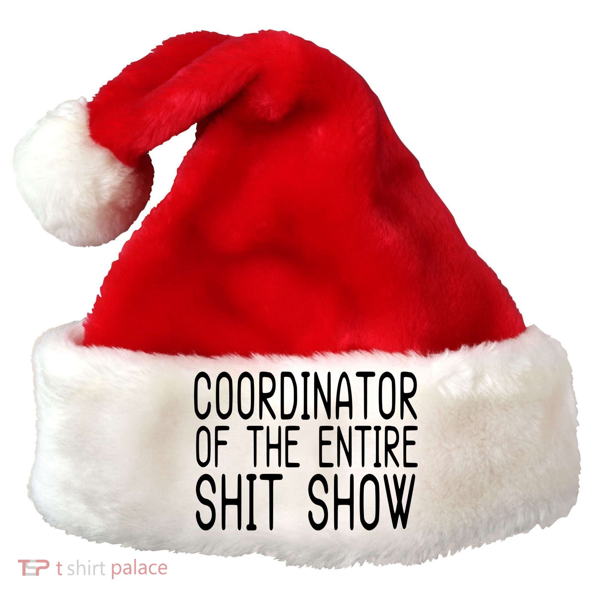 Coordinator Of The Entire Shit Show Santa Hat