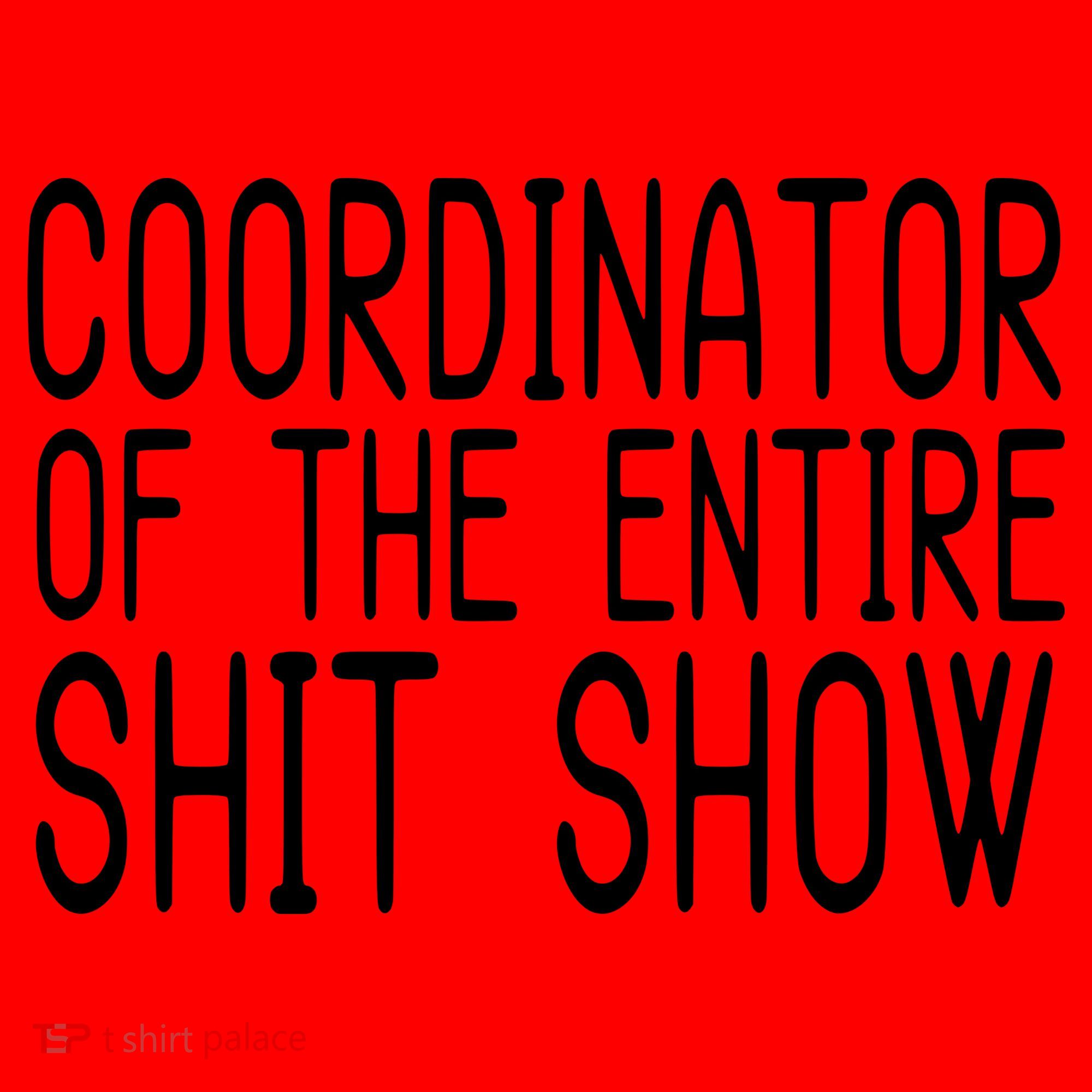 Coordinator Of The Entire Shit Show Santa Hat