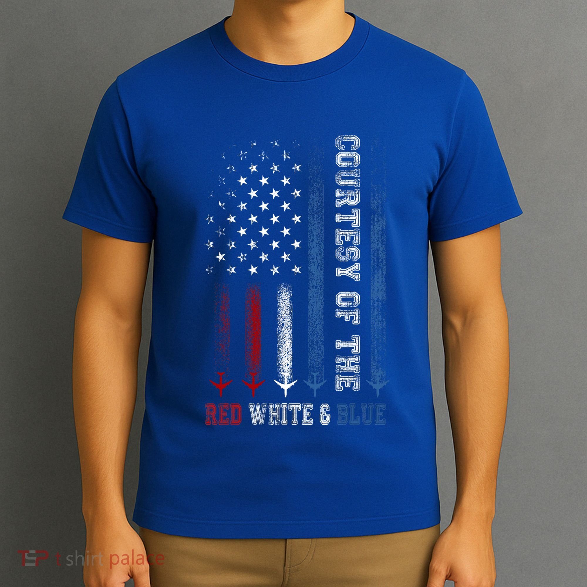 Courtesy Of The Red White And Blue Us Flag T-Shirt