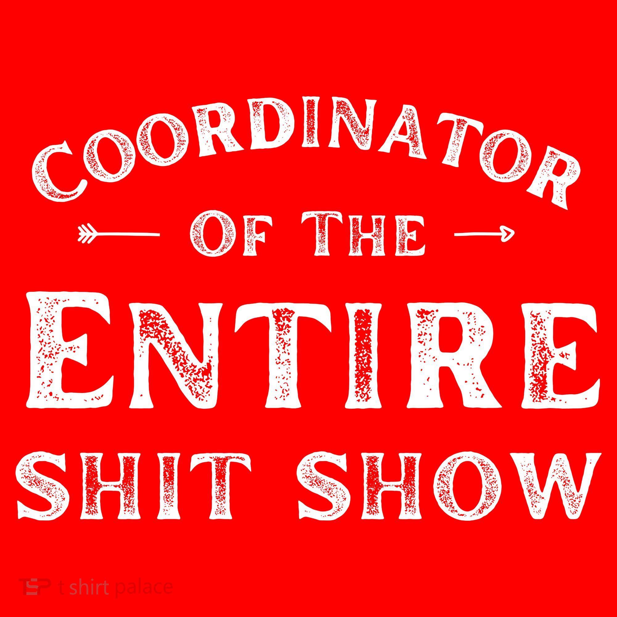 Coordinator Of The Entire Shit Show Funny Saying Sarcastic Santa Hat