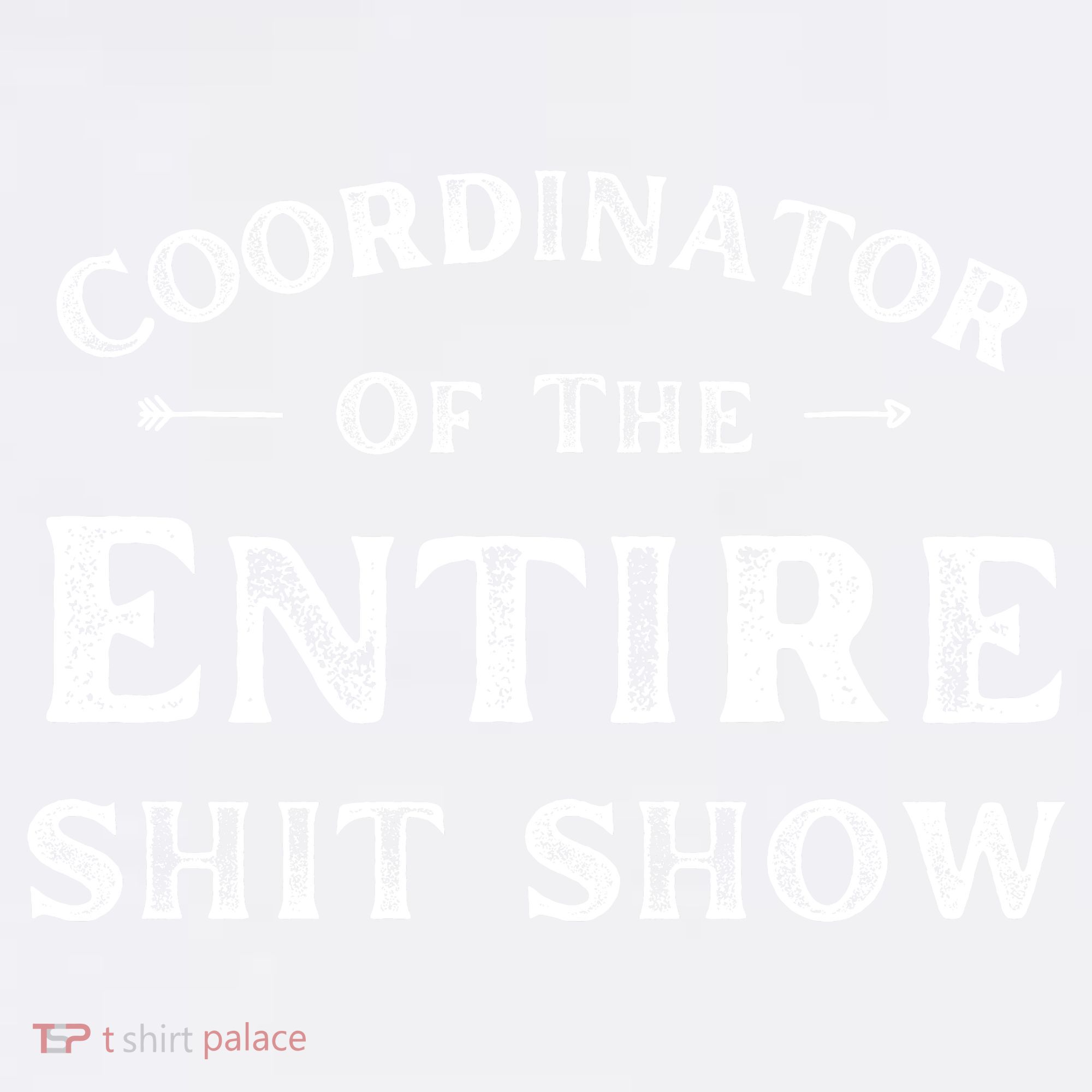Coordinator Of The Entire Shit Show Funny Saying Sarcastic Comfort Colors Garment-Dyed Hooded Sweatshirt