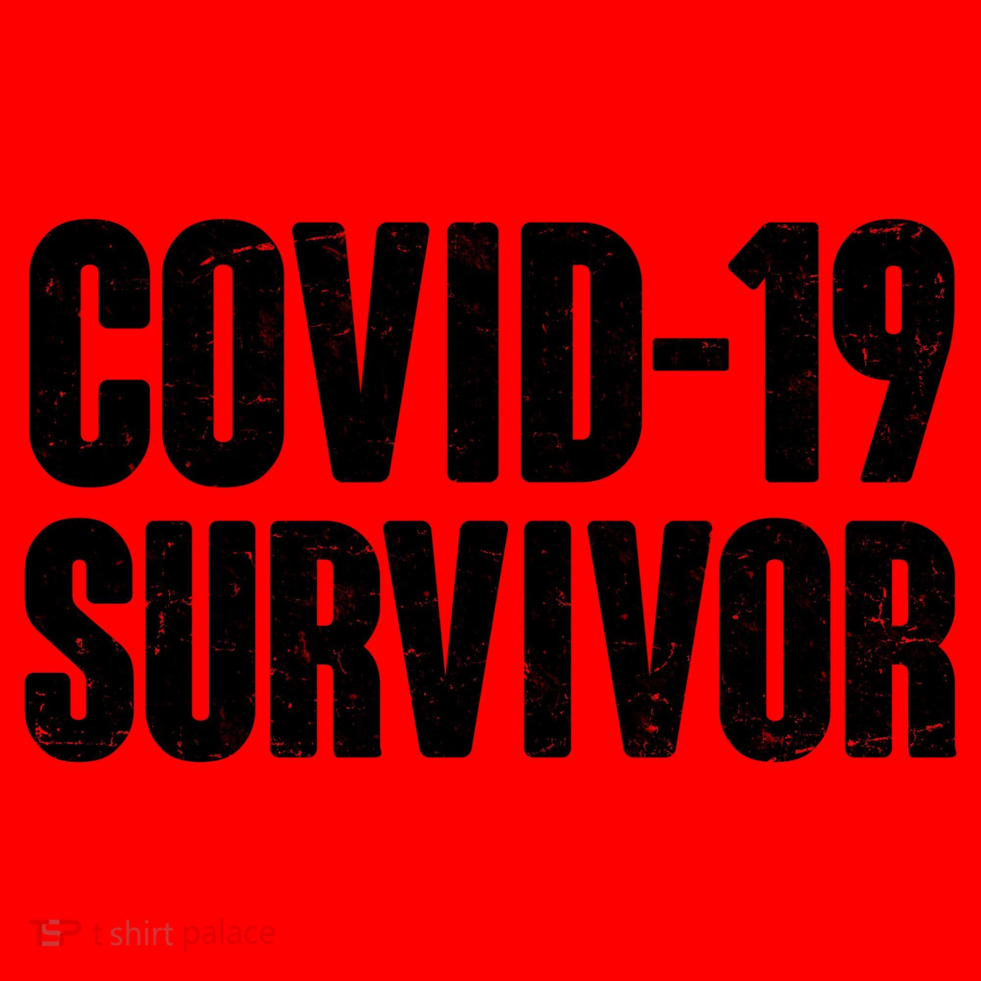 Covid-19 Survivor Santa Hat