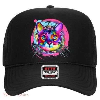 Colorful Painted Abstract Cat Face Hat