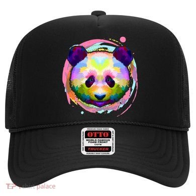 Colorful Painted Abstract Panda Face Hat