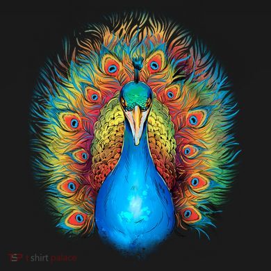 Colorful Peacock Art Coaster