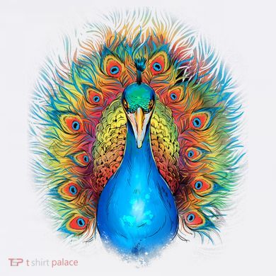 Colorful Peacock Art Long Sleeve Shirt