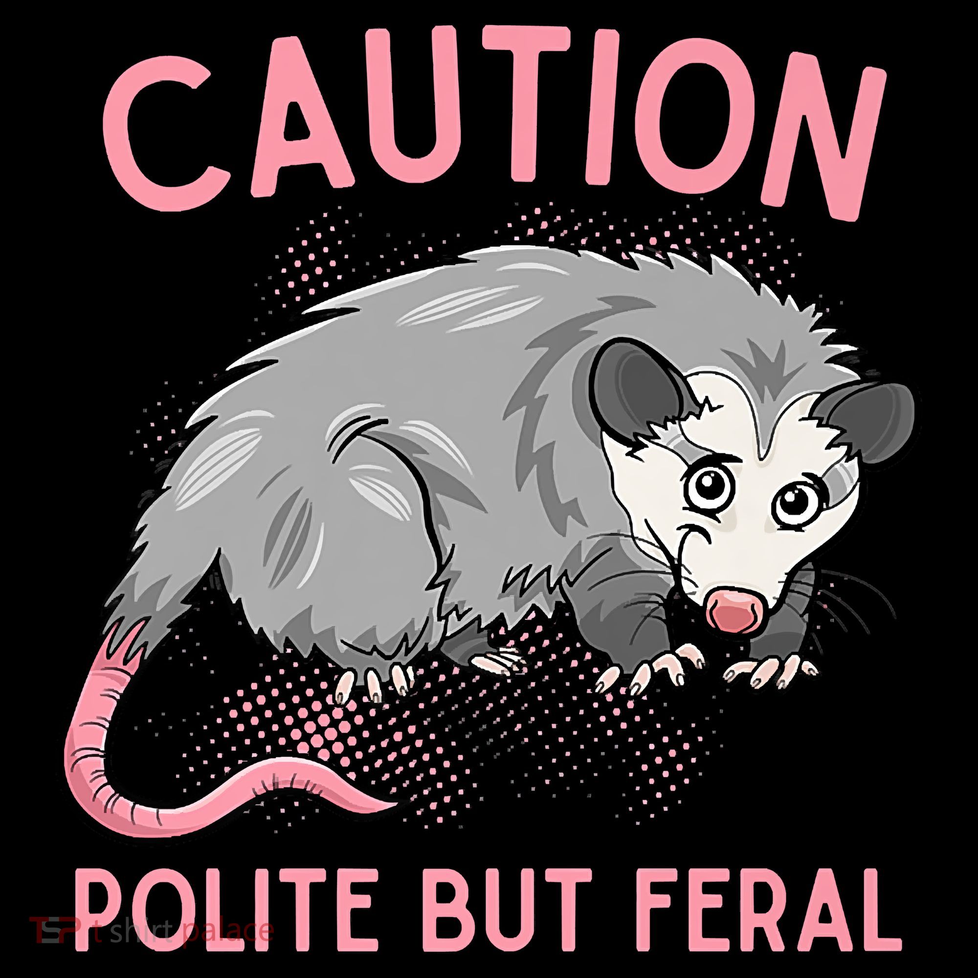 CAUTION POLITE BUT FERAL Funny Opossum Women's Hoodie