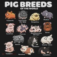 Cute Pig Breeds Of The World Funny Farm Animal Lovers Long Sleeve Shirt thumb 2