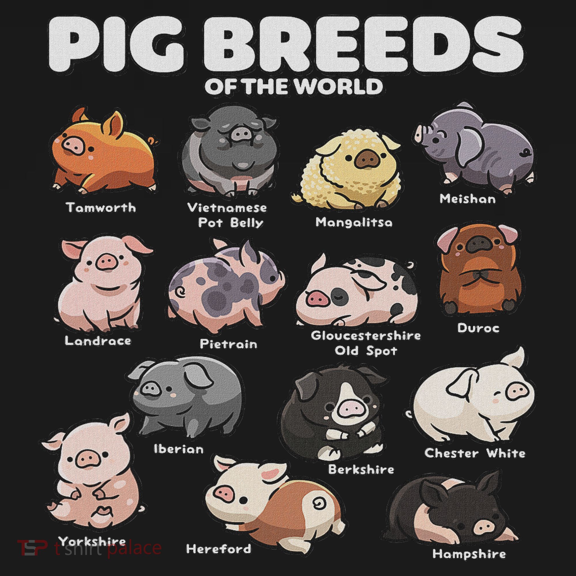 Cute Pig Breeds Of The World Funny Farm Animal Lovers Sweatshirt