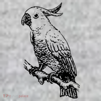Cockatoo Parrot Bird T-Shirt thumb 7