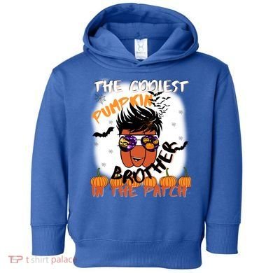 Coolest Pumpkin Brother In The Patch Halloween Gift Toddler Hoodie