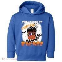 Coolest Pumpkin Brother In The Patch Halloween Gift Toddler Hoodie thumb 0