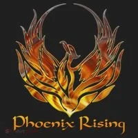 Cool Phoenix Bird Rising Women's Sweatshirt thumb 2