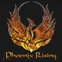 Cool Phoenix Bird Rising Bucket Hat thumb 4