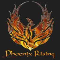 Cool Phoenix Bird Rising Hat thumb 2