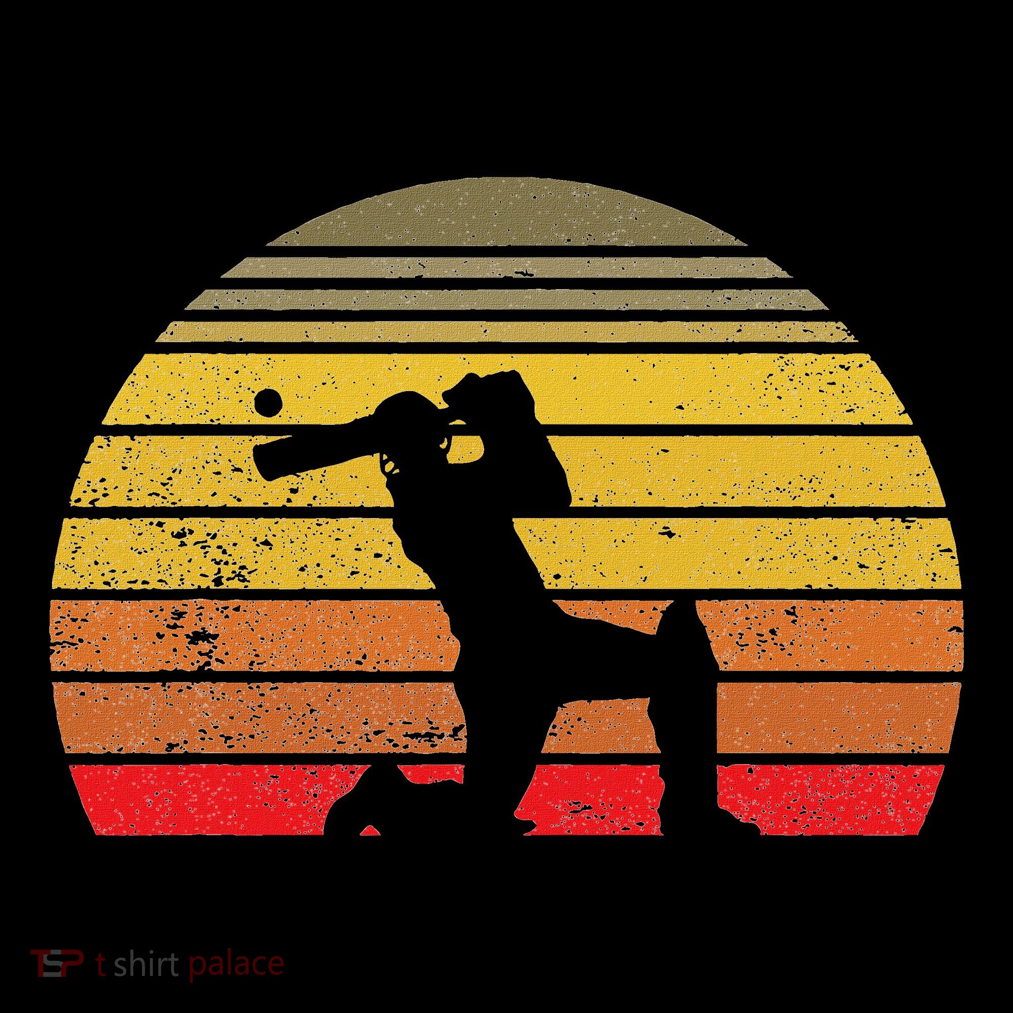 Cricket Player Cricket Sport Vintage Cricket T-Shirt
