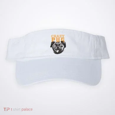 Visor