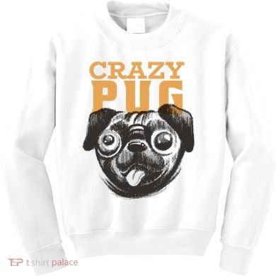 Crazy Pug Kids Sweatshirt