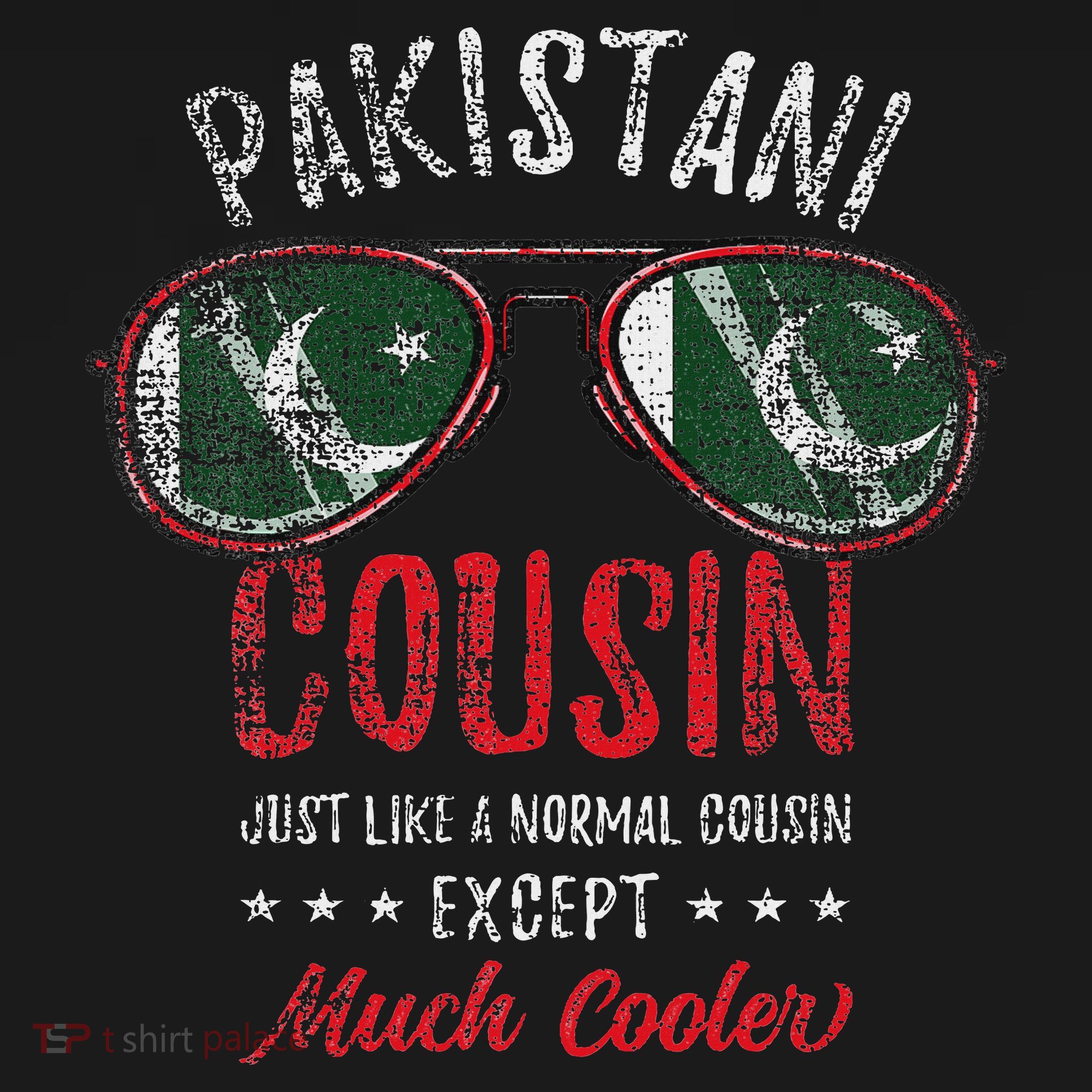 Cool Pakistani Cousin Sunglasses Pakistani Family Vintage T-Shirt