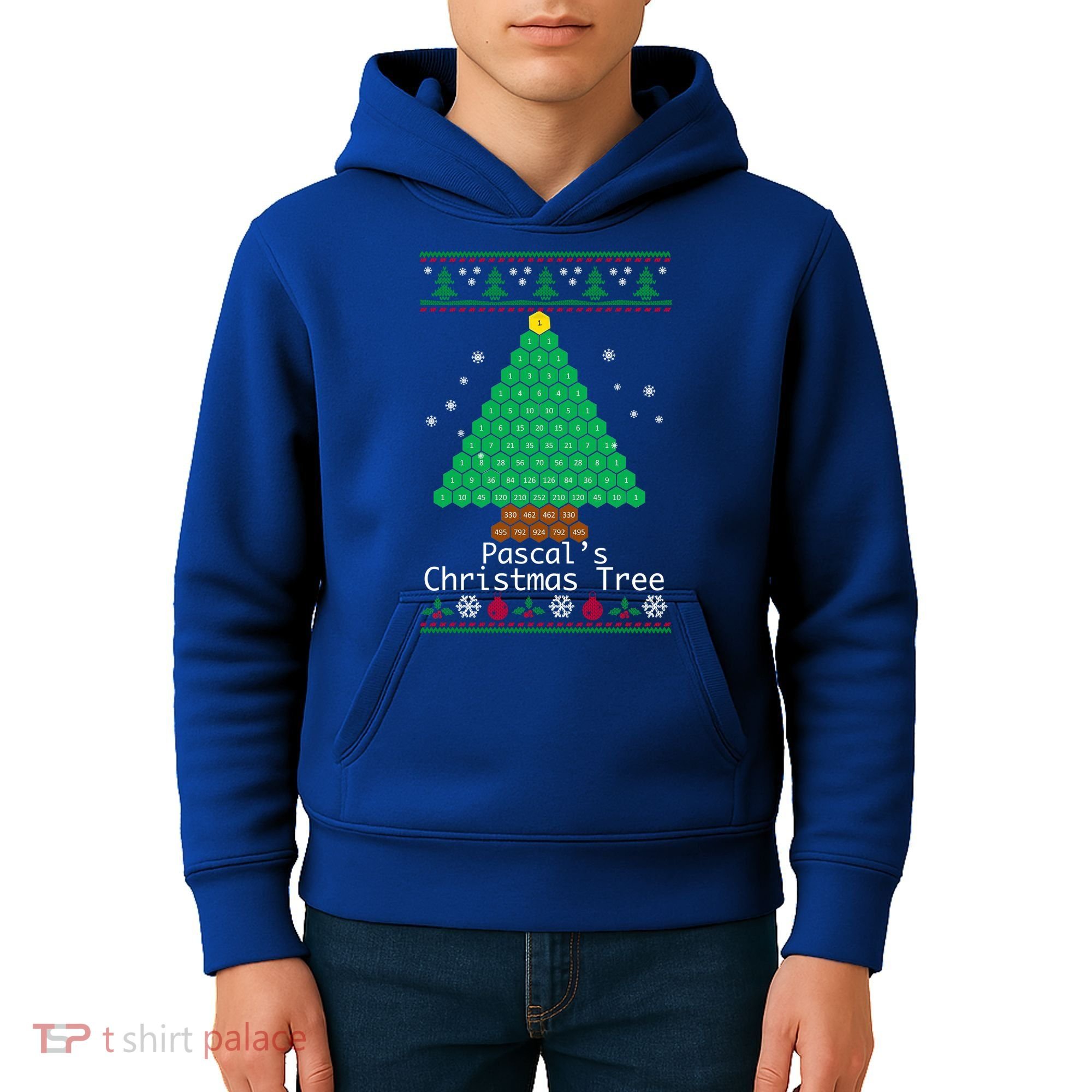 Cool Pascals Christmas Tree Sweater Gift Math Kids Hoodie
