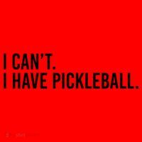 Cool Pickleball Coach With Saying I Can't I Have Pickleball Gift Santa Hat thumb 1