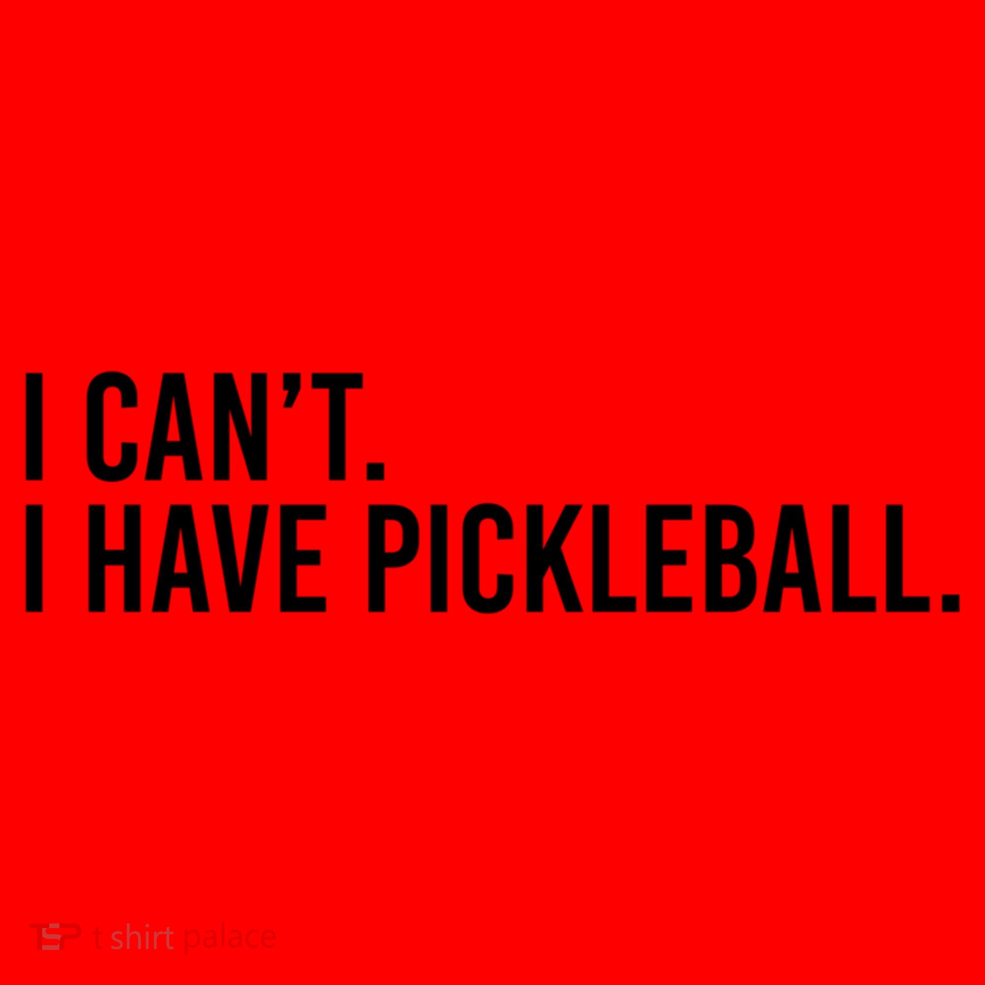 Cool Pickleball Coach With Saying I Can't I Have Pickleball Gift Santa Hat