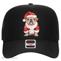 Christmas Pug Dog Cute Holiday Hat thumb 0