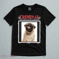 Custom Photo Dog Criminal For Stealing My Sandwich T-Shirt thumb 5