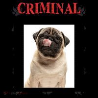 Custom Photo Dog Criminal For Stealing My Sandwich Coffee Mug thumb 5