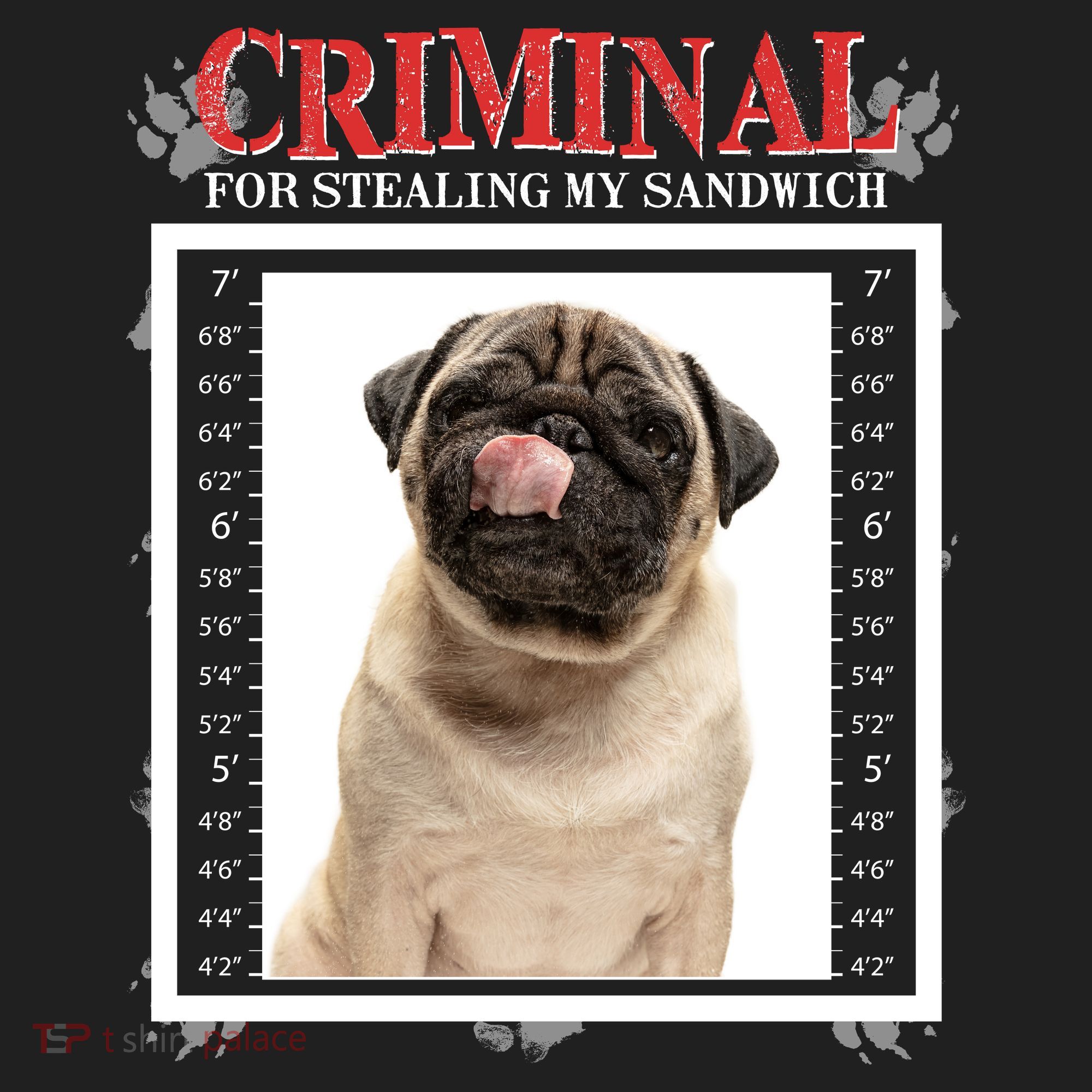 Custom Photo Dog Criminal For Stealing My Sandwich Beanie