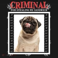 Custom Photo Dog Criminal For Stealing My Sandwich Baby Bodysuit thumb 2