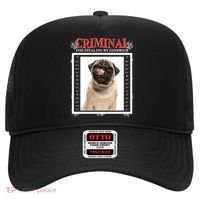 Custom Photo Dog Criminal For Stealing My Sandwich Hat thumb 0