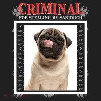 Custom Photo Dog Criminal For Stealing My Sandwich Hat thumb 2