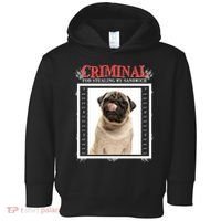 Custom Photo Dog Criminal For Stealing My Sandwich Toddler Hoodie thumb 0