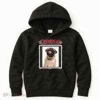Custom Photo Dog Criminal For Stealing My Sandwich Kids Hoodie thumb 0