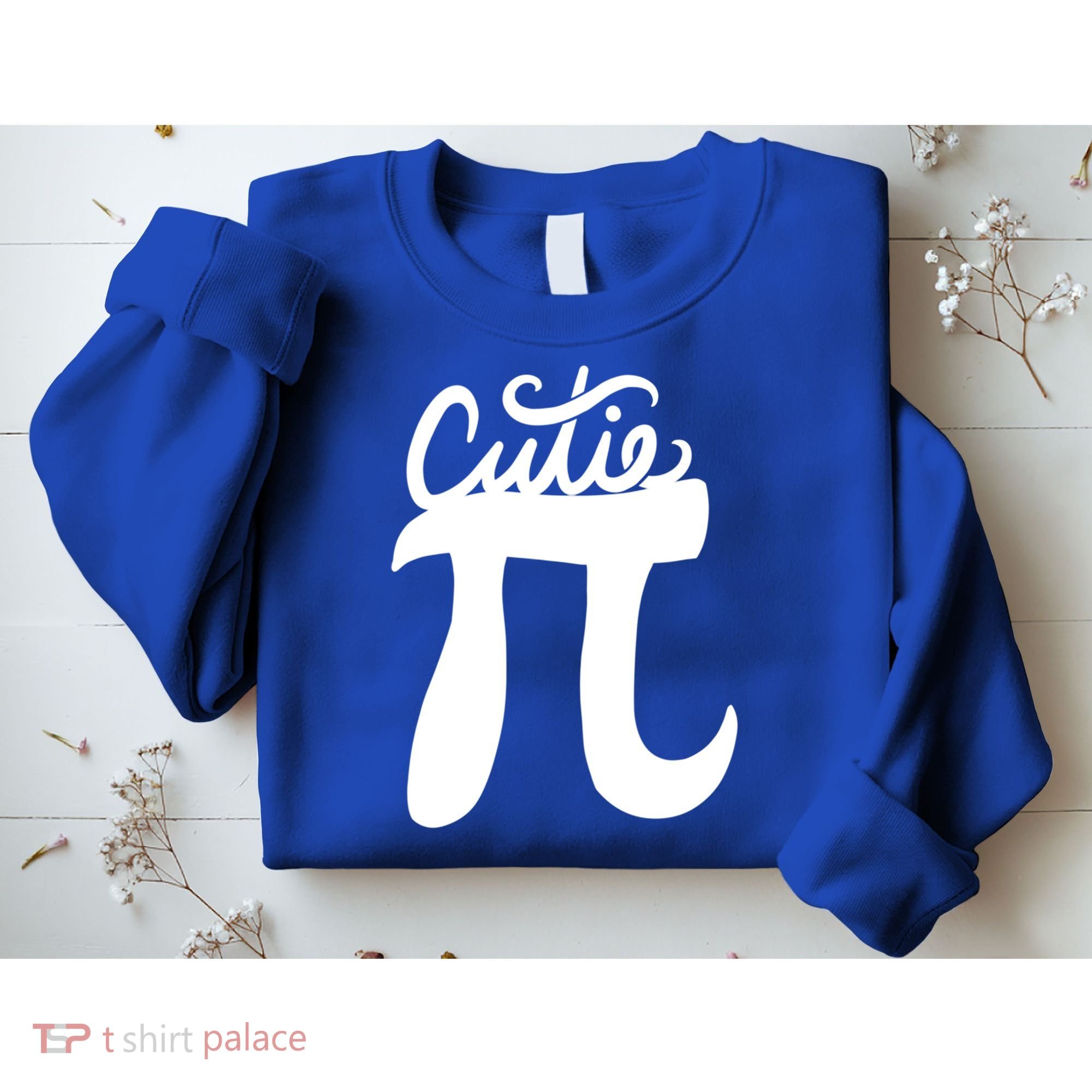 Cutie Pi Day Art Pi Symbol Cool Gift Sweatshirt