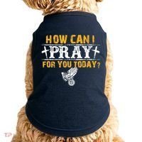Christian Prayer For You Jesus Or Faith How Can I Pray Doggie Tank thumb 0