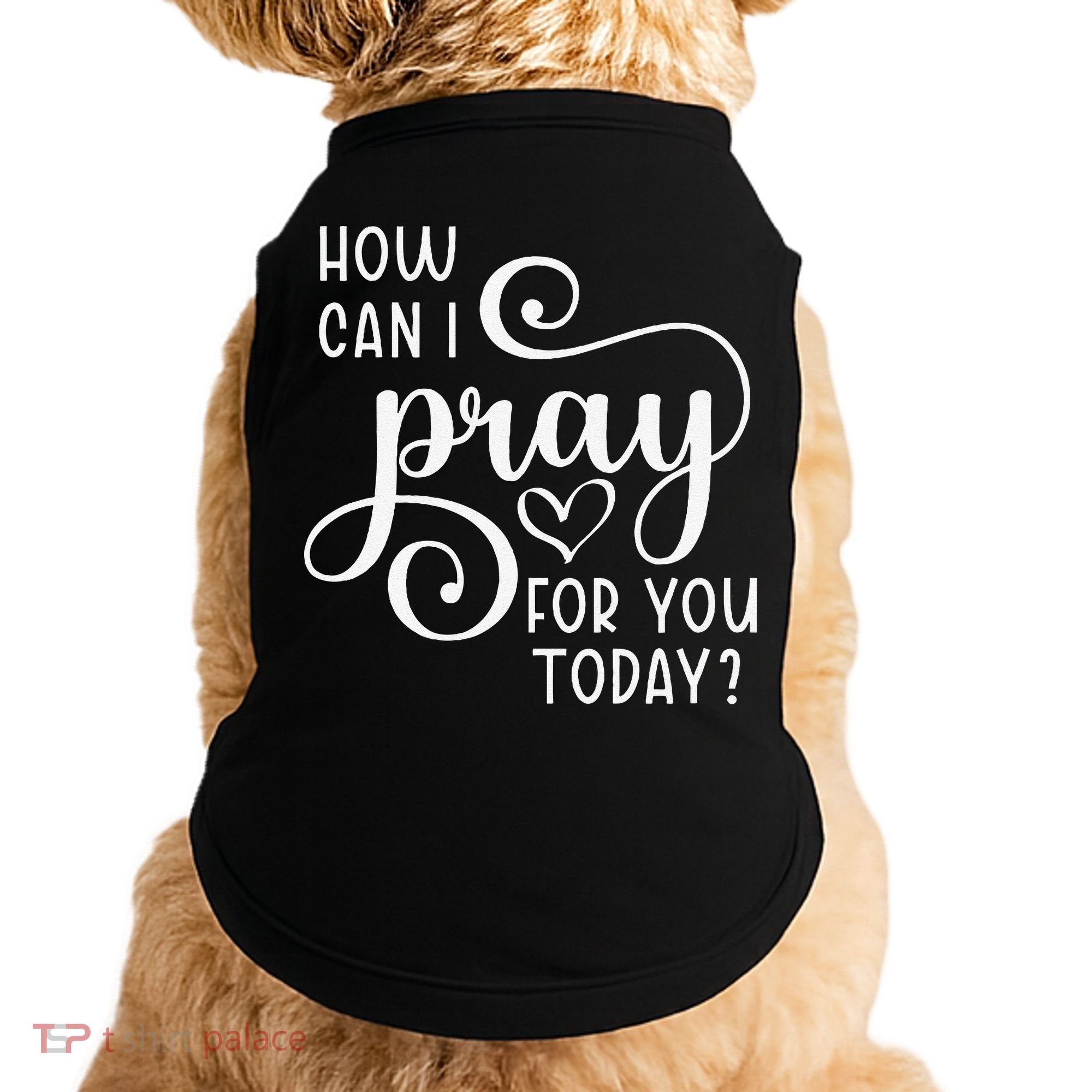 Christian Prayer For You Jesus Or Faith How Can I Pray Team Doggie Tank