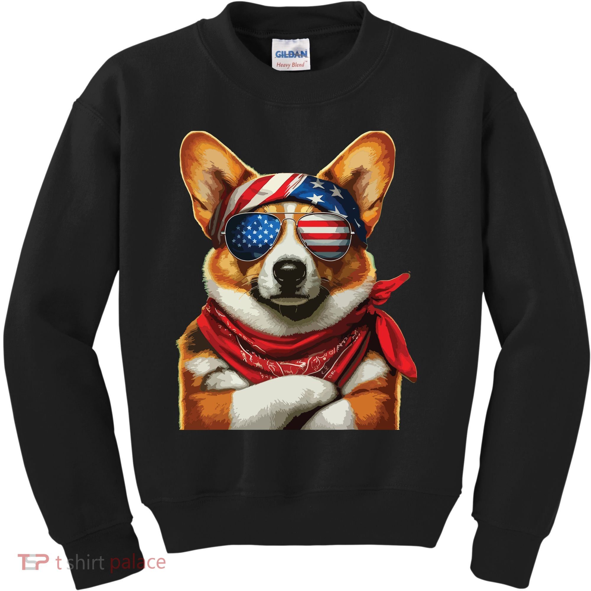 Corgi Patriotic Fourth Of July Kids Sweatshirt