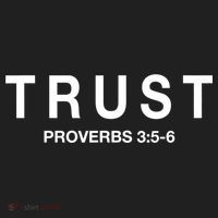 Cool Proverbs For Christians Proverbs 3:56 About Trust Hat thumb 2