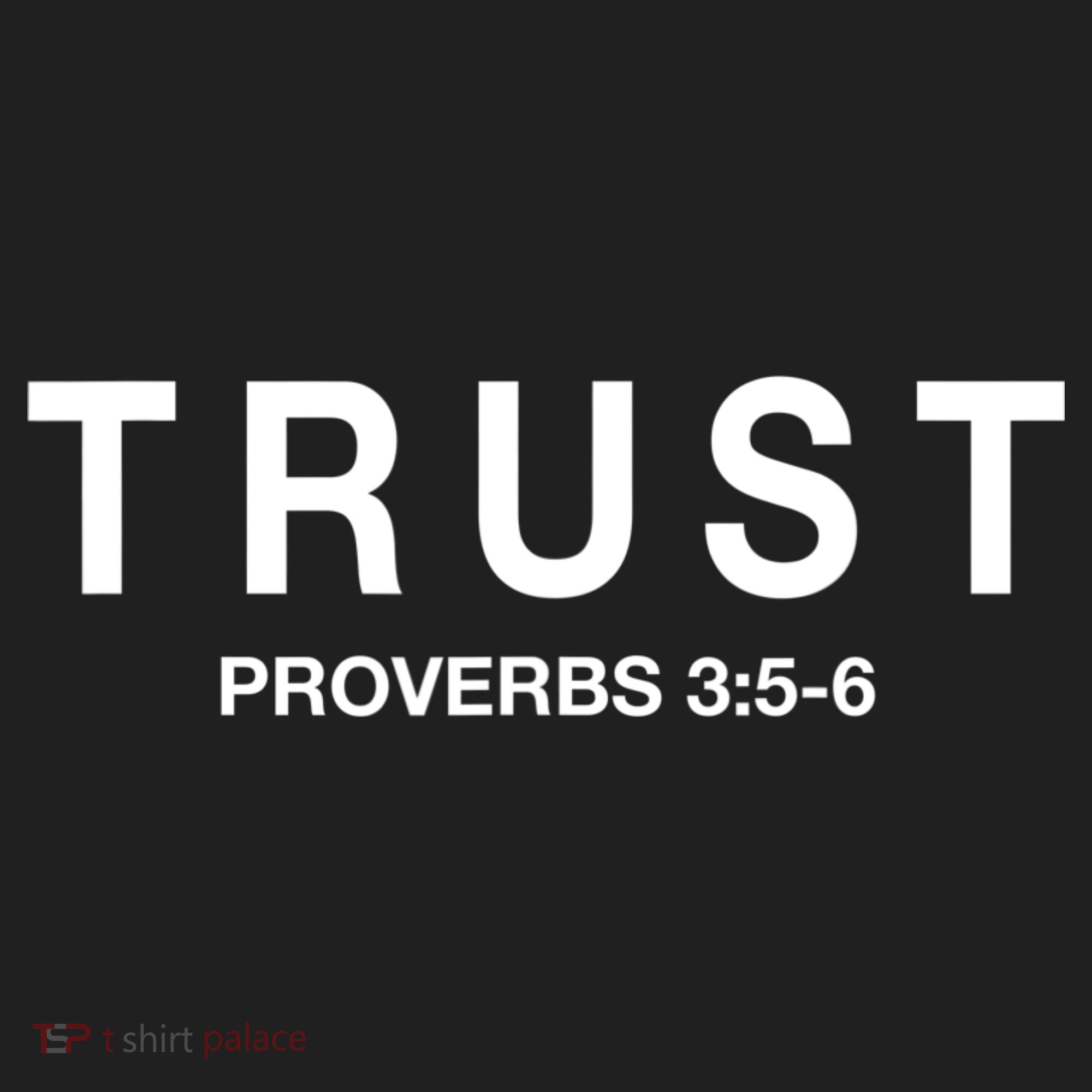 Cool Proverbs For Christians Proverbs 3:56 About Trust Hat