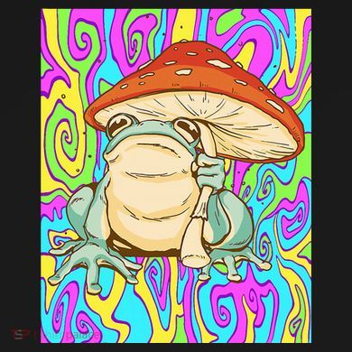 Chief Psychedelic Frog Toad Holding Trippy Mushroom Sustainable Knit Beanie