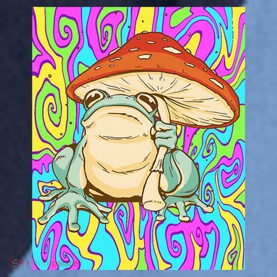Chief Psychedelic Frog Toad Holding Trippy Mushroom Raglan Baseball Sleeve Shirt