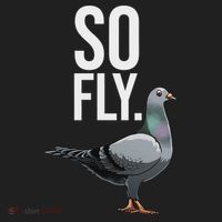 Cool Pigeon For Women Breeder Birdwatching Pigeon Racing Women's Sweatshirt thumb 2