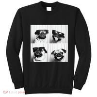 Cute Pug Face Pet Photobooth Cool Pug With Sunglasses Sweatshirt thumb 0